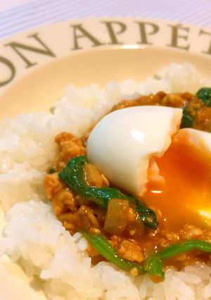 鶏挽き肉とほうれん草のドライカレー-レシピのメイン写真