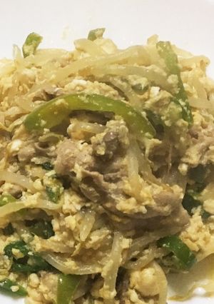 豚肉と豆腐ともやしとピーマンのチャンプル-レシピのメイン写真