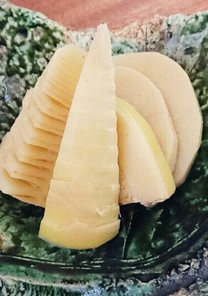 宗田節粉で筍の煮物-レシピのメイン写真