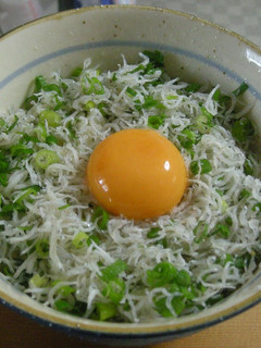 しらす うどん (ク ・ 普 共通)-レシピのメイン写真