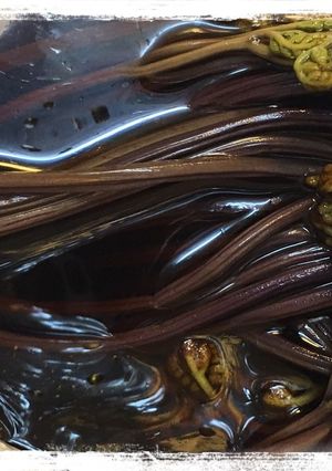 わらびのアク抜きから醤油漬け-レシピのメイン写真