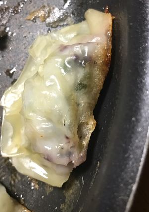 ゆかり入り餃子-レシピのメイン写真