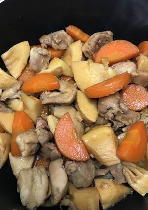 たけのこと鶏肉の煮物-レシピのメイン写真
