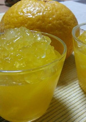 計量簡単♪爽やか甘夏ゼリー-レシピのメイン写真