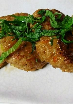 お弁当にも！簡単おからハンバーグ-レシピのメイン写真