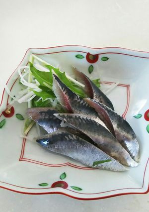 イワシの酢じめ-レシピのメイン写真