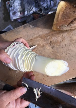 たけのこの剥き方 茹で方-レシピのメイン写真