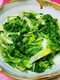 ポリ袋を使って手早く!レタスの浅漬け-レシピのメイン写真