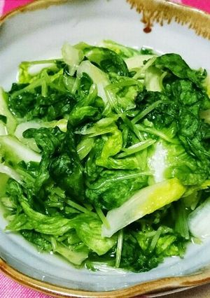 ポリ袋を使って手早く！レタスの浅漬け-レシピのメイン写真