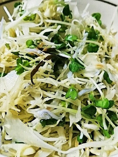 キャベツとかいわれとしらすの塩昆布和え-レシピのメイン写真