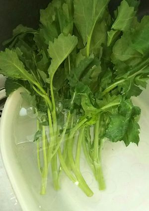 しなびた野菜 復活！(葉物野菜)-レシピのメイン写真