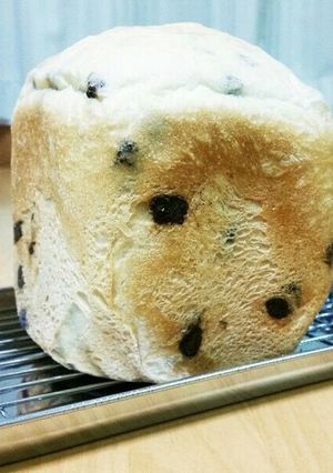 ミミまで柔らかチョコチップ食パン-レシピのメイン写真