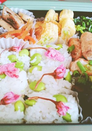 冷凍野菜を使って花見弁当-レシピのメイン写真