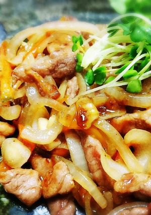 ご飯が進む♪豚肉と玉葱のスタミナ炒め♪-レシピのメイン写真