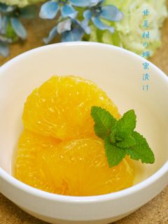甘夏柑の蜂蜜漬け-レシピのメイン写真
