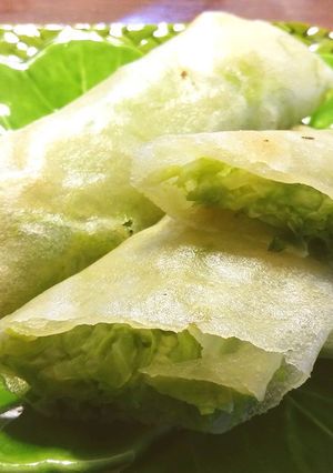 春キャベツの春巻き-レシピのメイン写真
