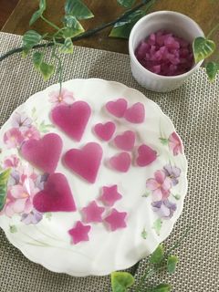 お弁当に!ゆかり大根♡-レシピのメイン写真