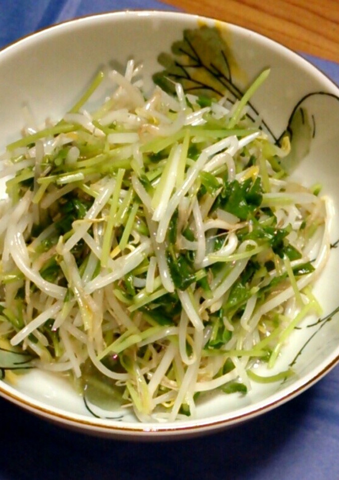 豆苗ともやしのシンプル塩炒め-レシピのメイン写真