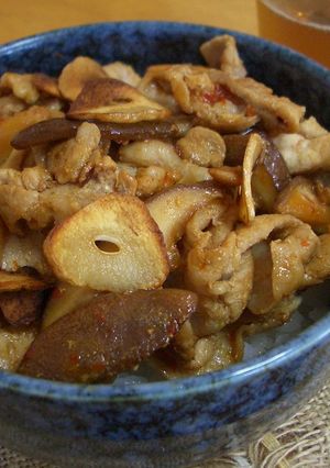 ★豚の辛み焼き丼★-レシピのメイン写真