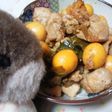 ✿鶏の香味煮ーきんかん入りー✿