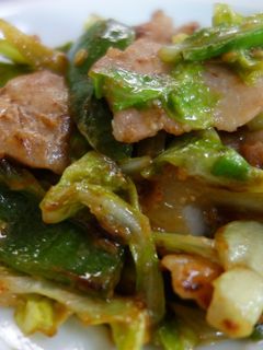 春キャベツと豚肉の鉄火味噌炒め-レシピのメイン写真