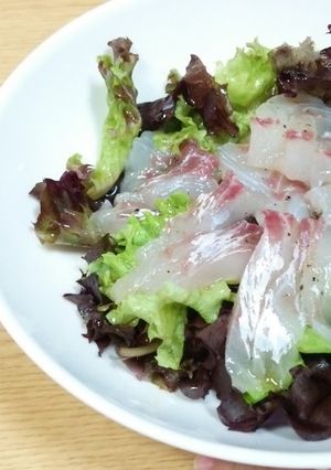 盛田トリュフソースで鯛のカルパッチョ♪-レシピのメイン写真