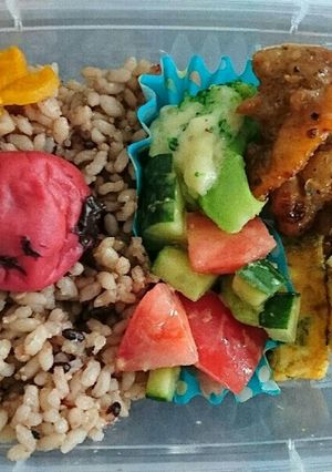 発芽玄米のお弁当1-レシピのメイン写真