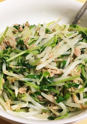 豆苗とツナの無限サラダ-レシピのメイン写真