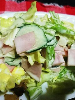 簡単サラダ 時短 節約-レシピのメイン写真