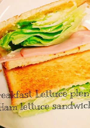 朝食☆レタスたっぷり！ハムレタサンド-レシピのメイン写真