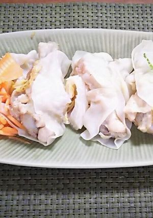 アレンジ餃子 骨付き手羽元-レシピのメイン写真