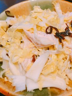 春キャベツとささみのサラダ-レシピのメイン写真