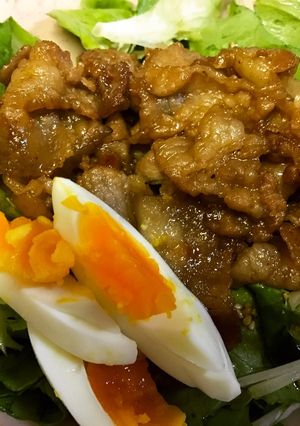 豚コマで簡単焼肉サラダ٩(ˊᗜˋ*)و-レシピのメイン写真