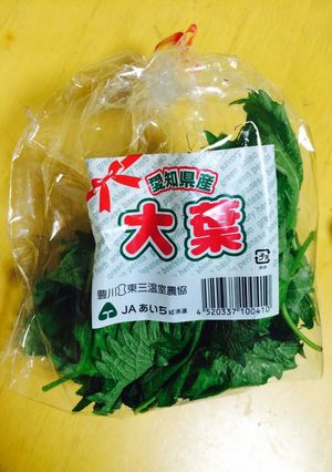 いつまでもシソが美味しく食べれる保存方法-レシピのメイン写真