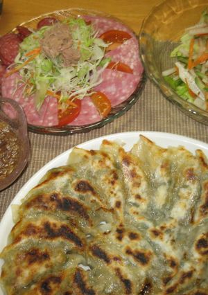 野菜満点ヘルシー餃子♪-レシピのメイン写真