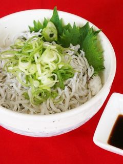 釜揚げちりめん丼-レシピのメイン写真
