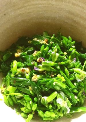 大根の菜の花 マスタードソース和え-レシピのメイン写真