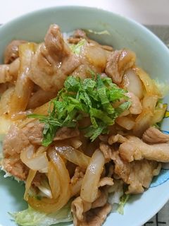 ボリューム満点♡焼肉丼-レシピのメイン写真