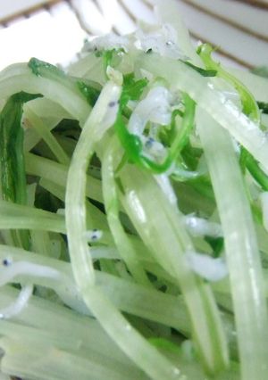 ☆超～シンプル☆水菜しらす和え☆-レシピのメイン写真