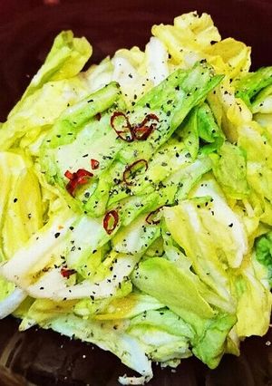 昆布だしで簡単♪春キャベツで無限浅漬け♪-レシピのメイン写真