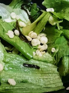 レタスと塩こぶの簡単サラダ-レシピのメイン写真