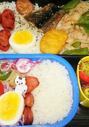 今日も旦那弁、幼稚園弁427-レシピのメイン写真