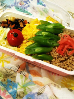 娘弁☆3色そぼろランチ-レシピのメイン写真