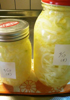 酢玉ねぎ（塩無し） スライスとみじん切り-レシピのメイン写真