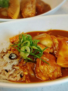 筍と新玉ねぎのつくねカレー-レシピのメイン写真
