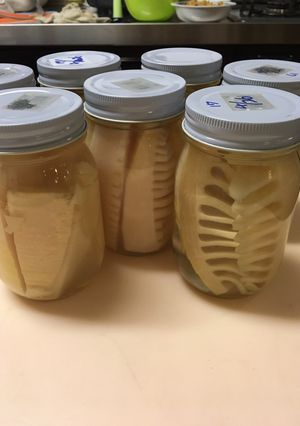 筍 保存-レシピのメイン写真