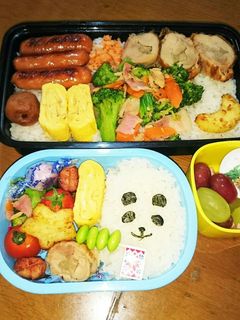 今日も旦那弁、幼稚園弁428-レシピのメイン写真