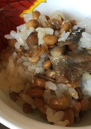 納豆とニシン甘露煮の混ぜご飯-レシピのメイン写真