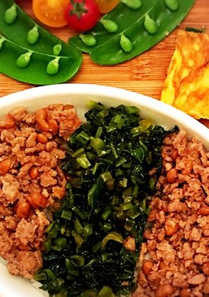 ごはんがすすむ!納豆と豚挽き肉そぼろ丼-レシピのメイン写真