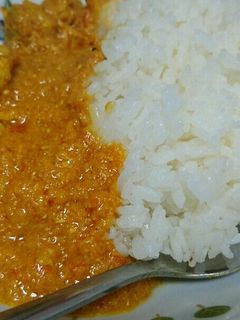 4種類のスパイスを使ったチキンカレー-レシピのメイン写真
